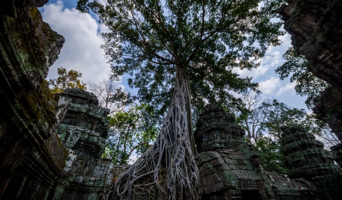 Angkor Wat – Geschichte erleben!
