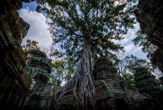 Angkor Wat – Geschichte erleben!