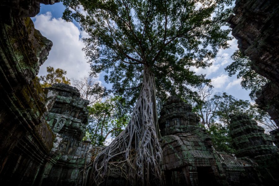 Angkor Wat Titelbild