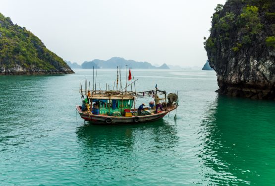 Ha Long Bucht: Die Bucht des untertauchenden Drachen