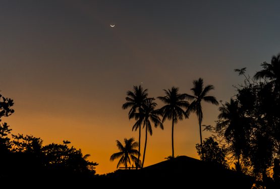 Ko Samui: Die Trauminsel, die keine ist! Oder doch?