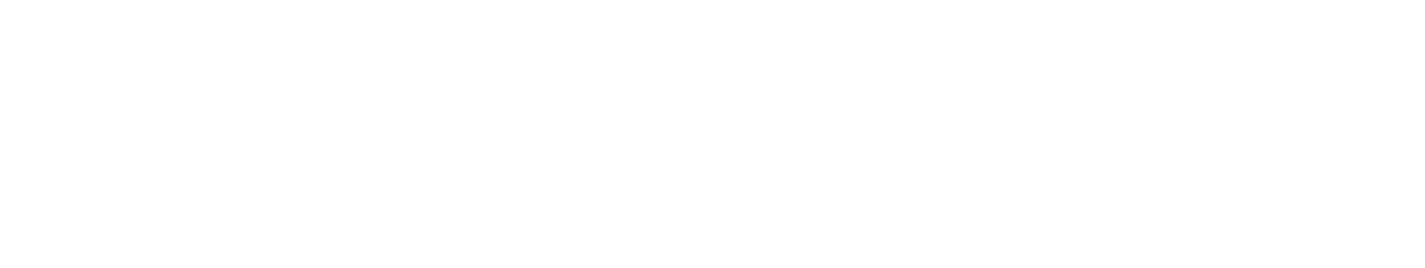 Backpackershome Logo 2021 - 800x150