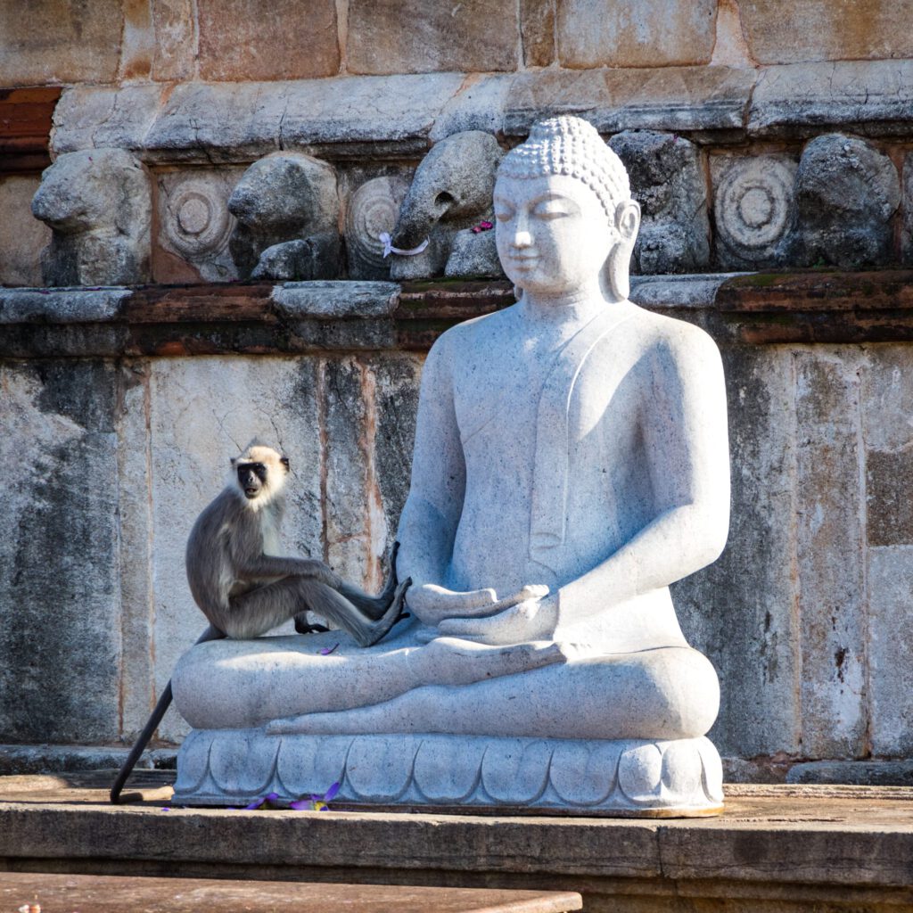 Anuradhapura Ancient City 2022-1002