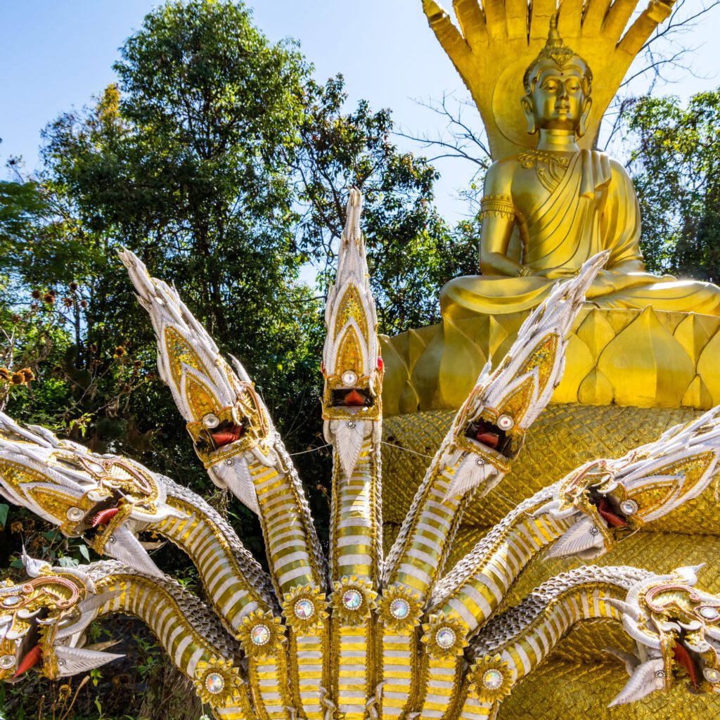 Wat Pa Phu Thap Boek 2023-1005