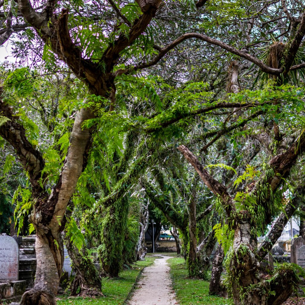 Penang Friedhof 2023-1004