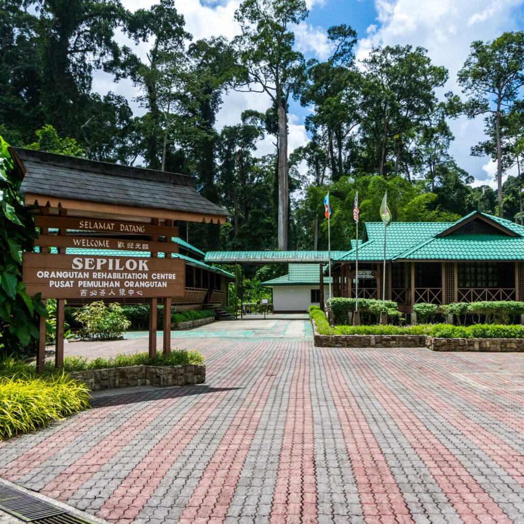 Sepilok Orang-Utan Conservation Center Borneo 2023-1000