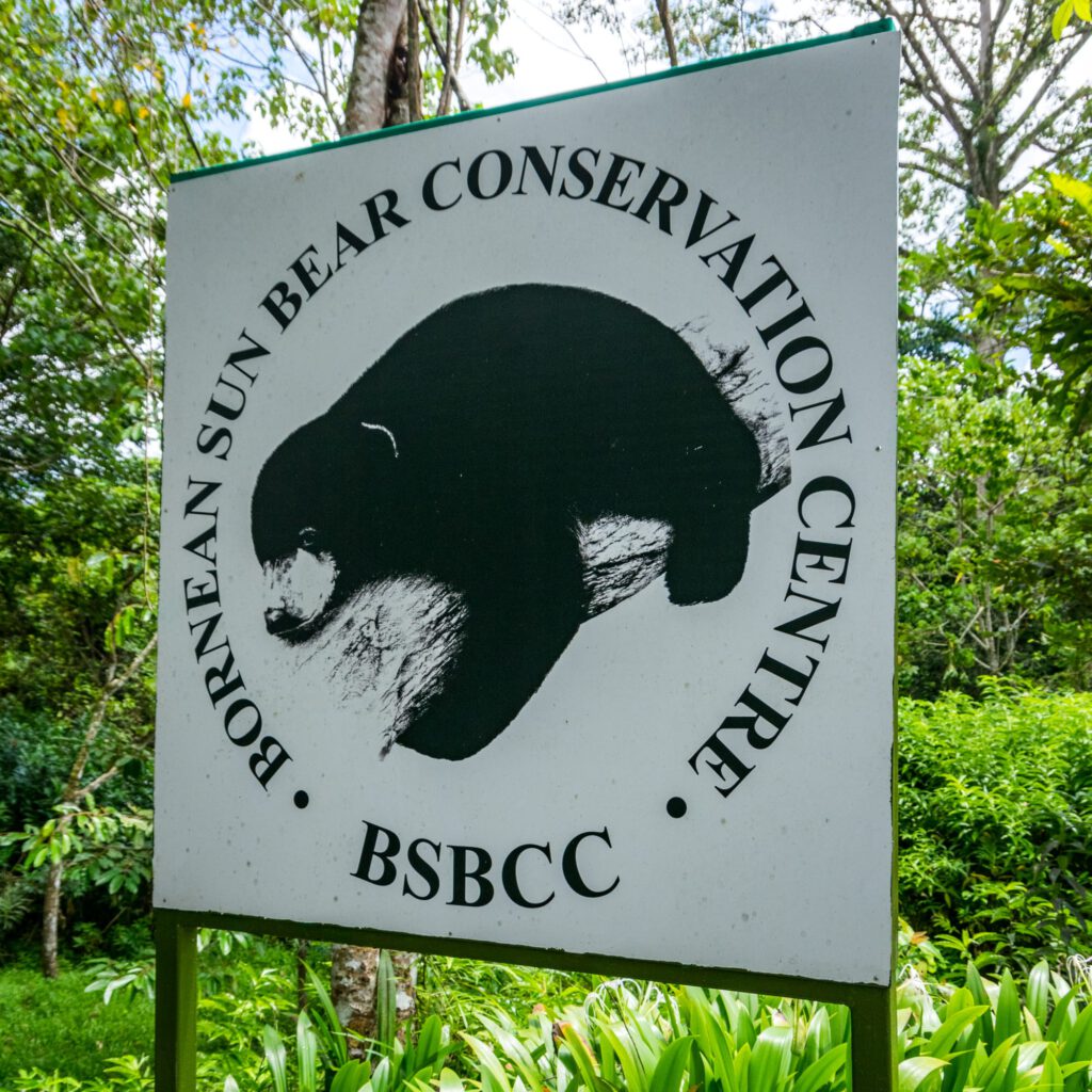 Sepilok Sun Bear Sanctuary Borneo 2023-1009