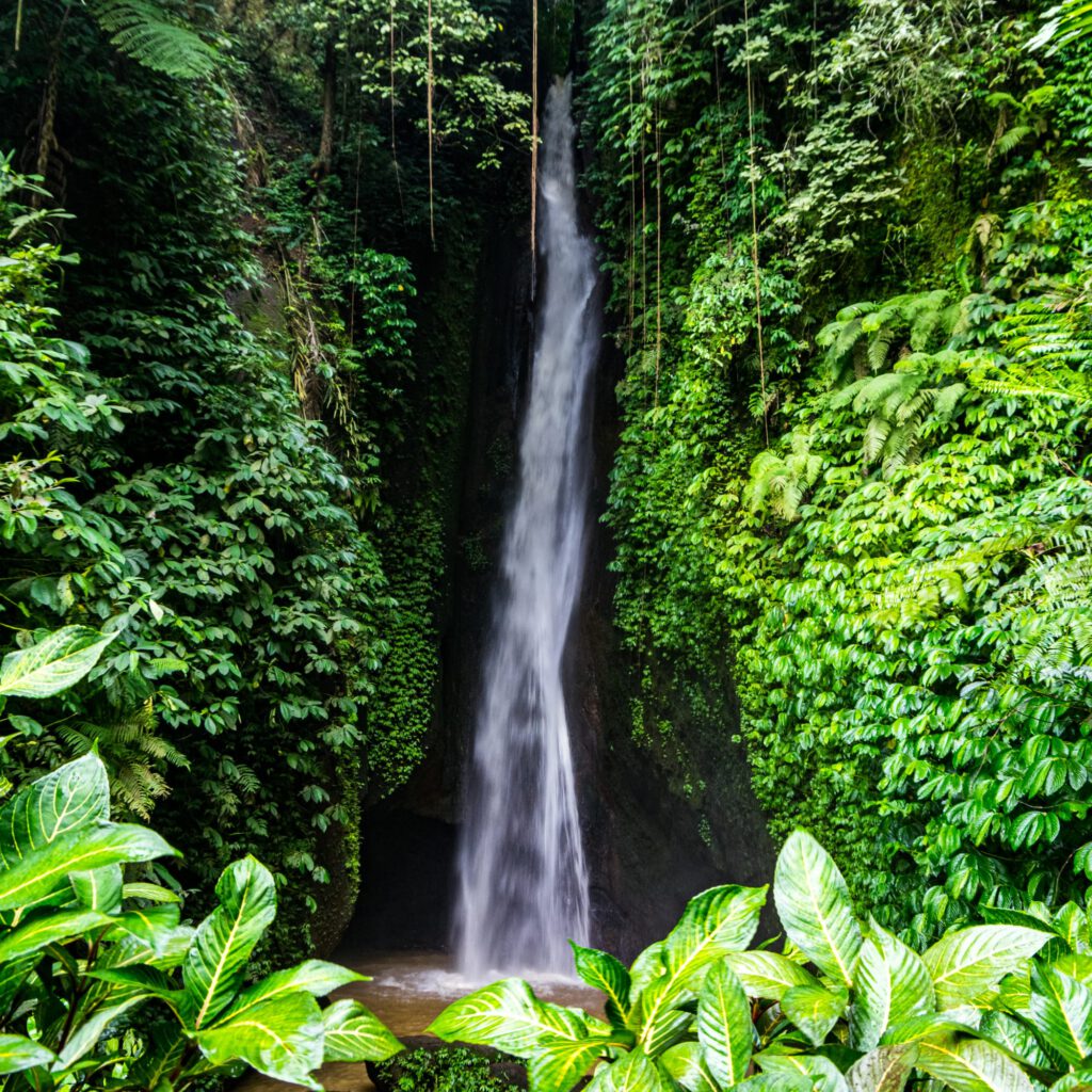 Bali Leke Leke Wasserfall 2023-1004