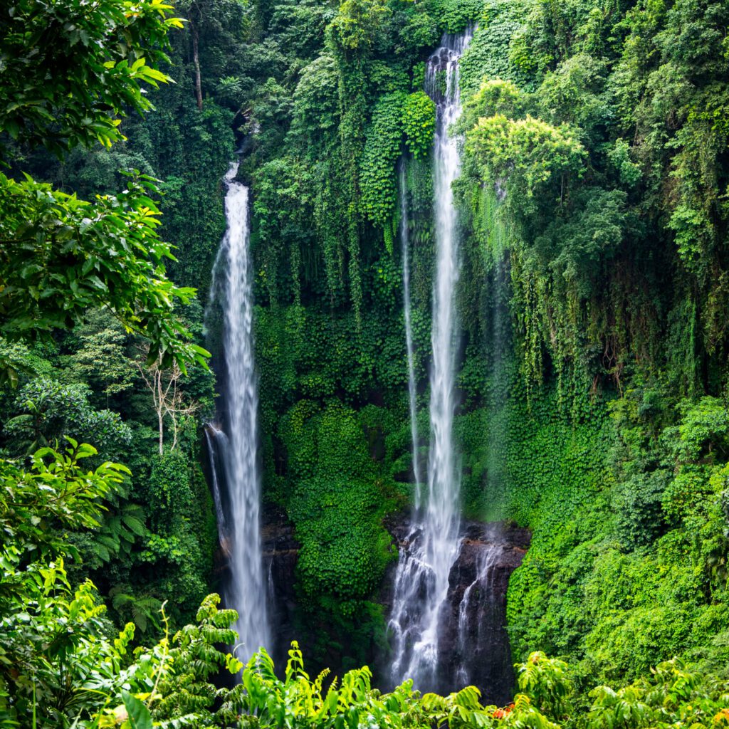 Bali Sekumpul Wasserfall 2023-1001