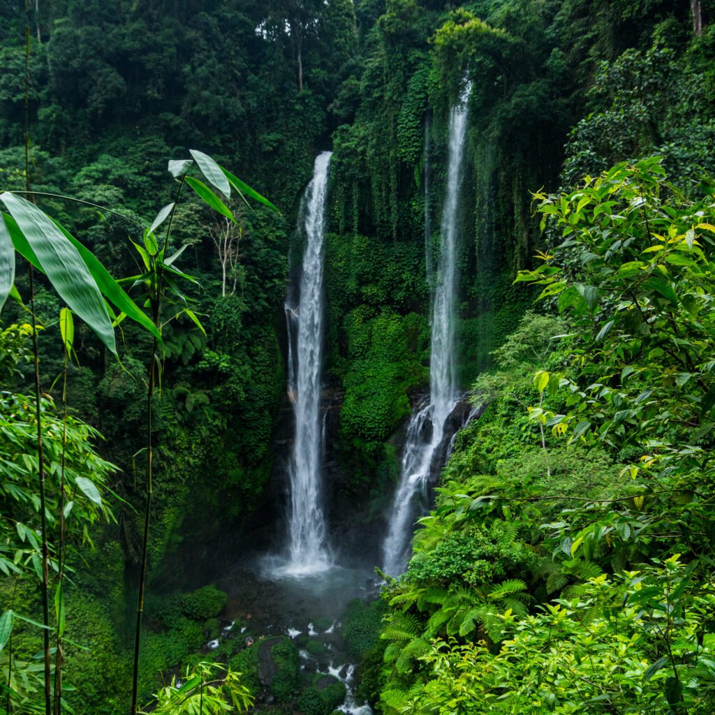 Bali Sekumpul Wasserfall 2023-1002