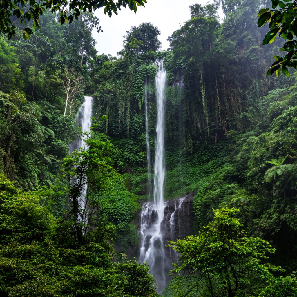Bali Sekumpul Wasserfall 2023-1003