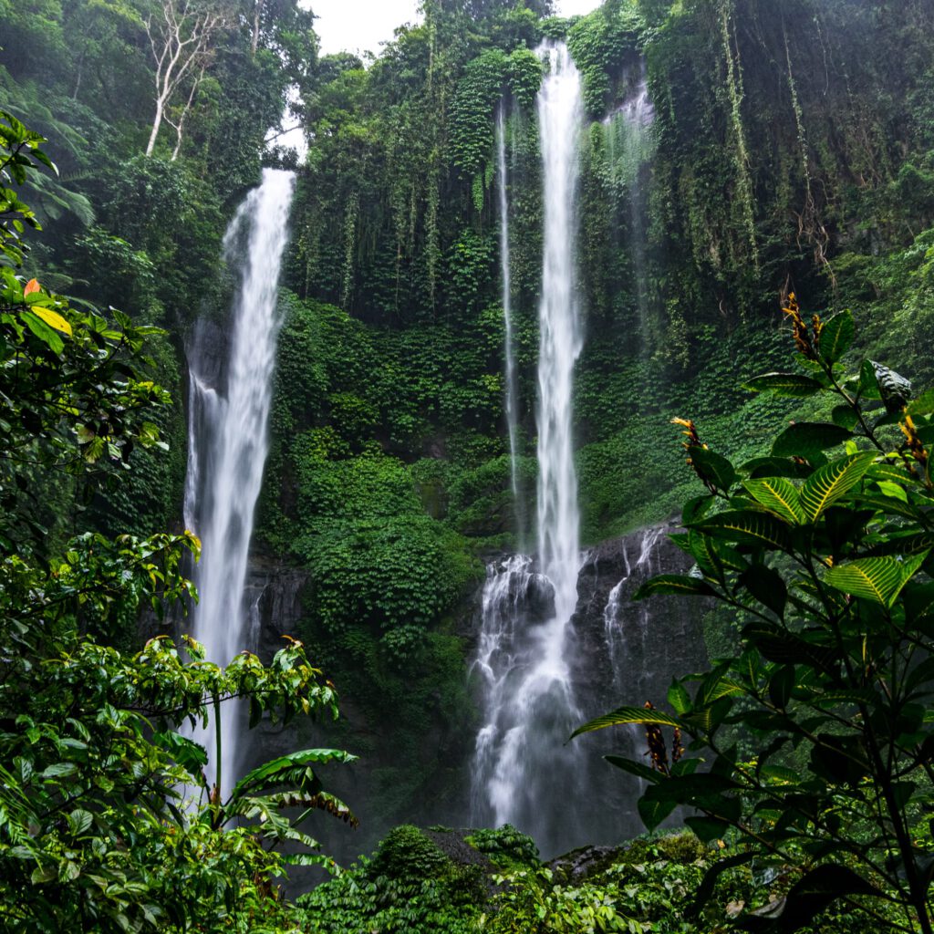 Bali Sekumpul Wasserfall 2023-1004