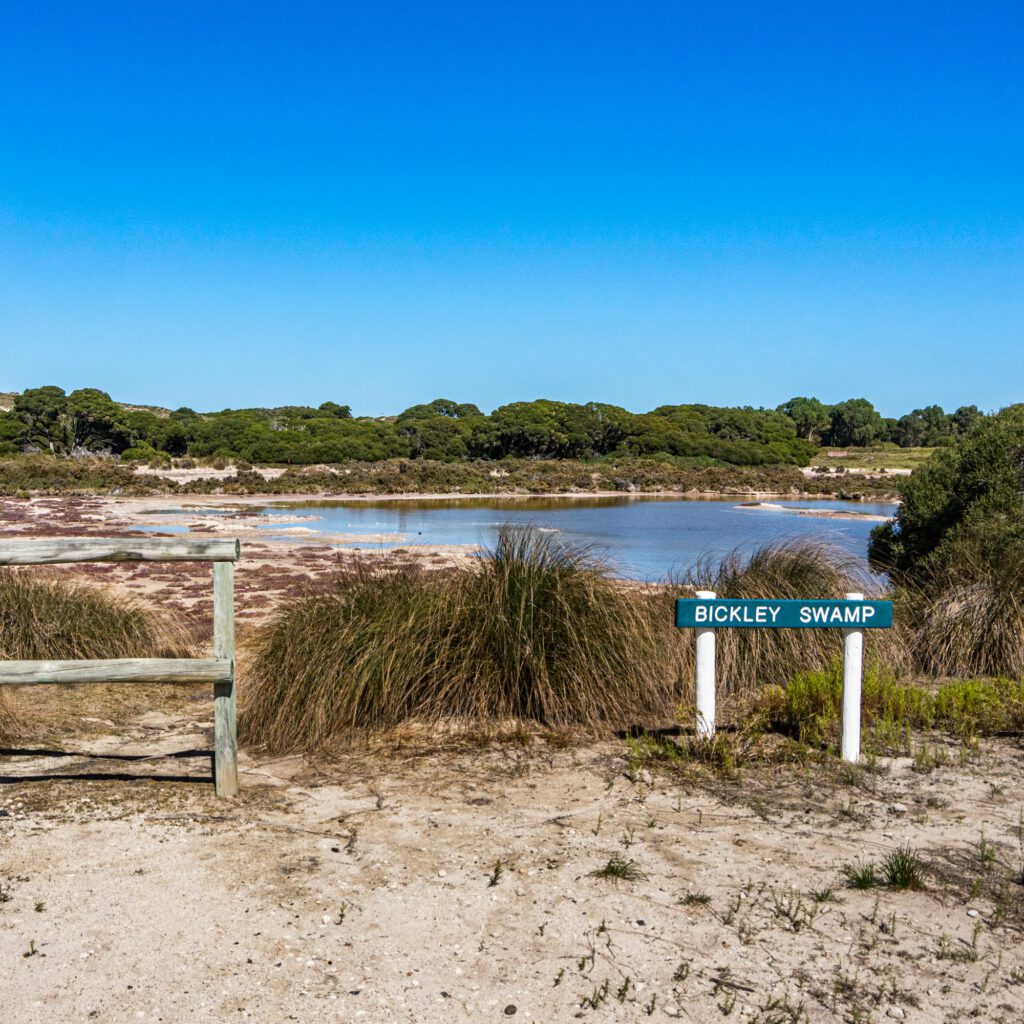 Perth Rottnest Island 2023-1001