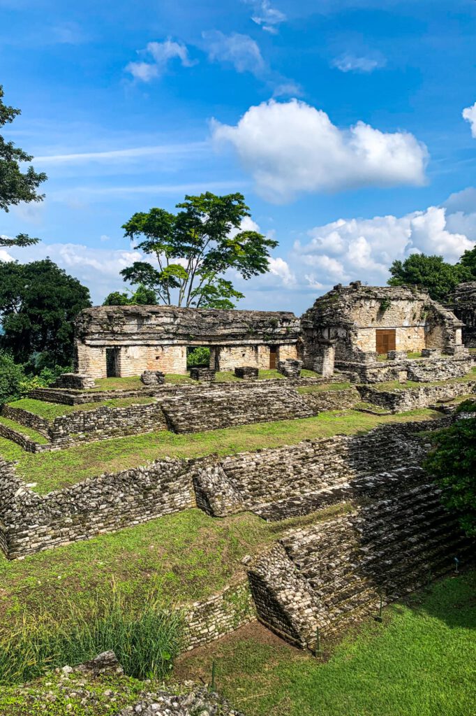Palenque 2023 1035