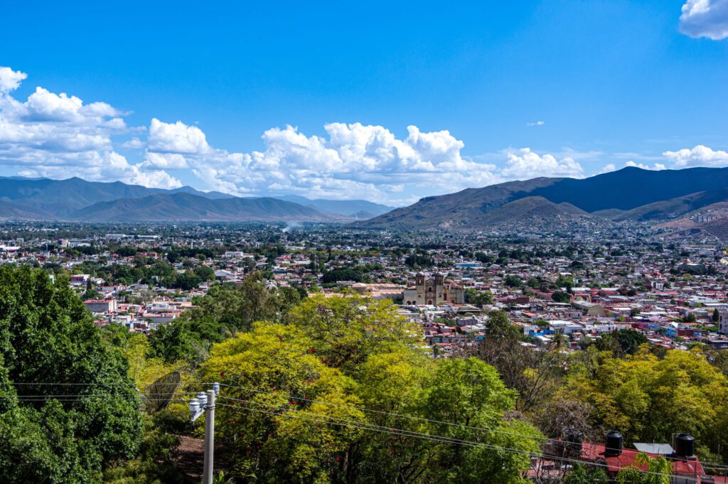 Zurück In Oaxaca 2023 1008