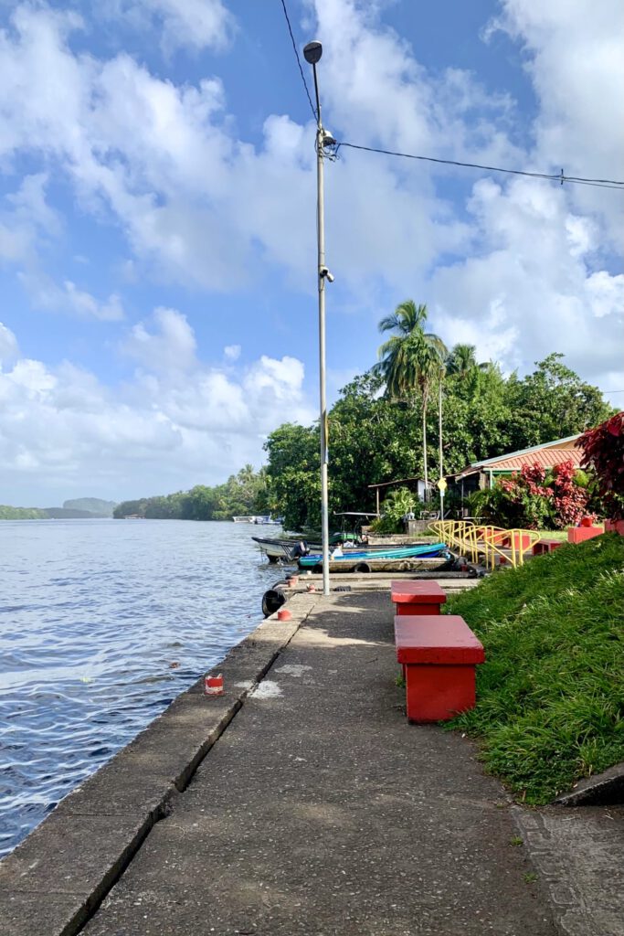 Auf Nach Cahuita 1