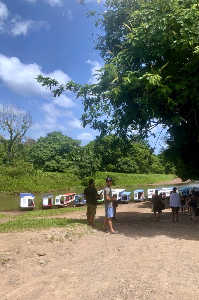 Auf Nach Cahuita 6