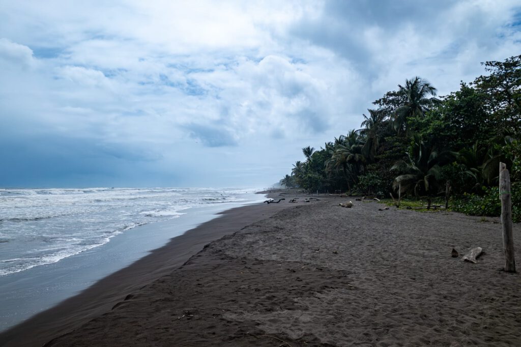 In Tortuguero 2024 1006