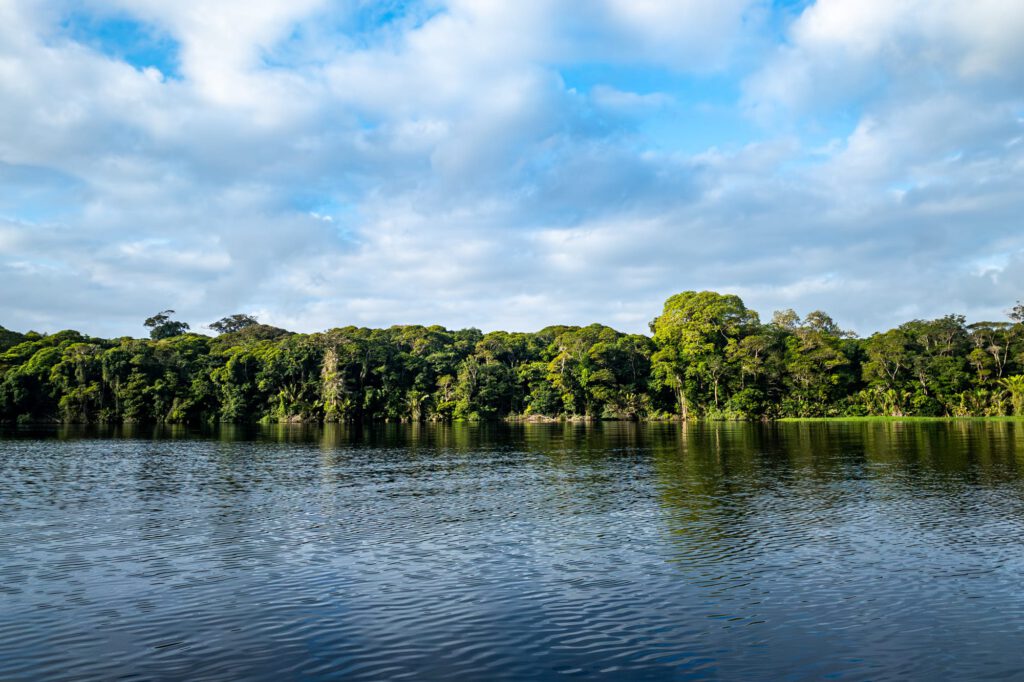 In Tortuguero 2024 1013