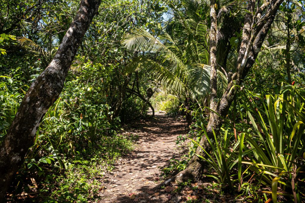 In Tortuguero 2024 1025