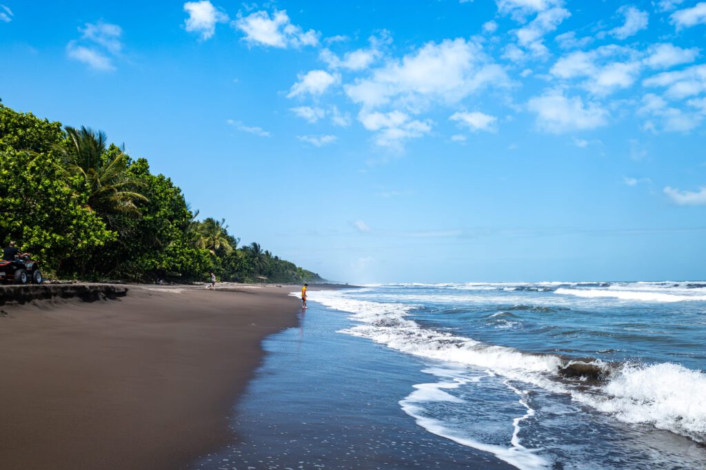 In Tortuguero 2024 1029