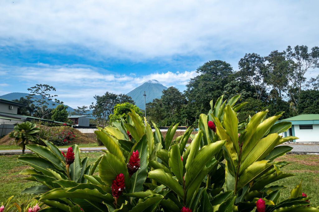 La Fortuna 2024 1005