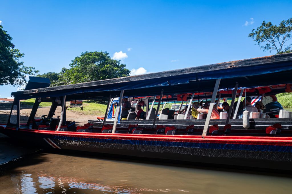 Tortuguero 2024 1007