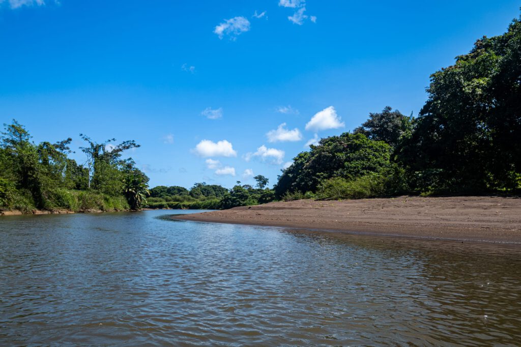 Tortuguero 2024 1009