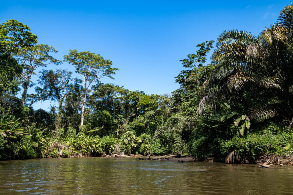 Tortuguero 2024 1011