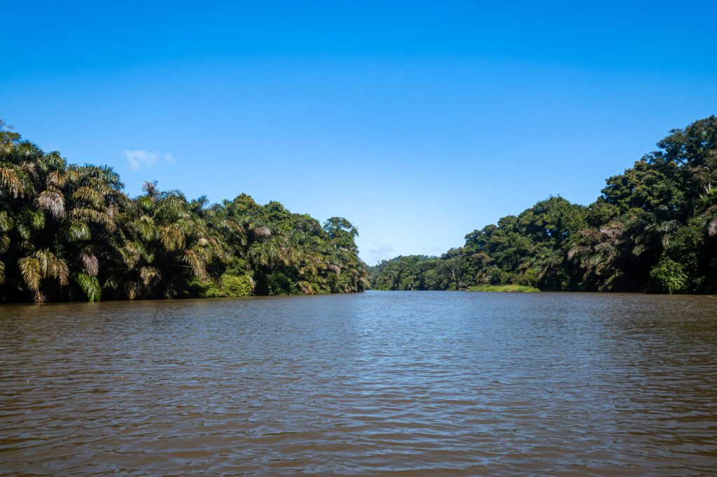 Tortuguero 2024 1013