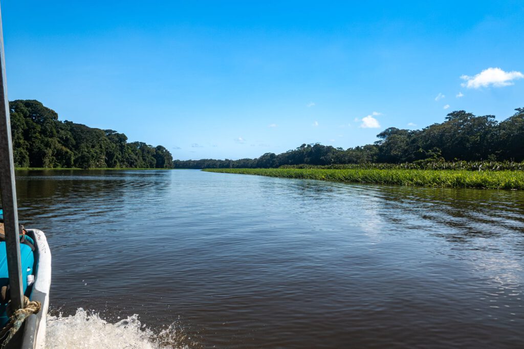 Tortuguero 2024 1016