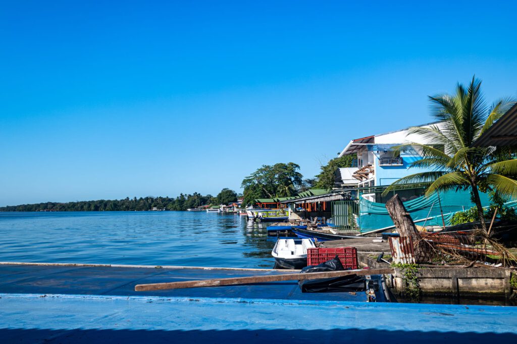 Tortuguero 2024 1018