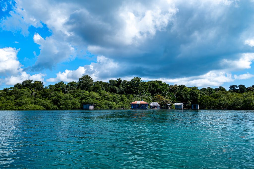 Bocas Del Toro 2024 1006