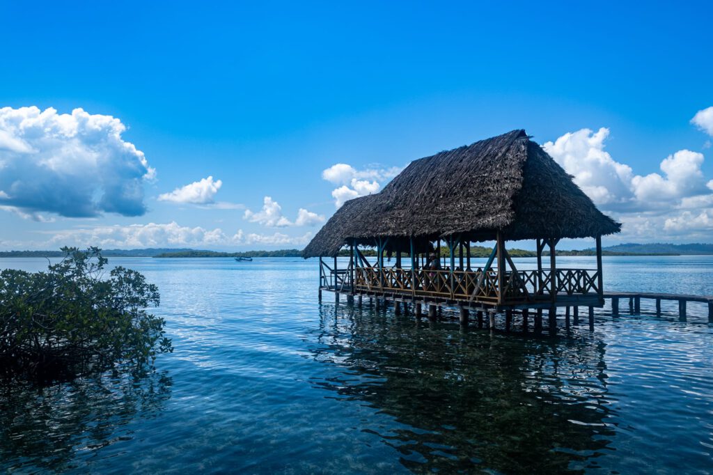 Bocas Del Toro 2024 1007