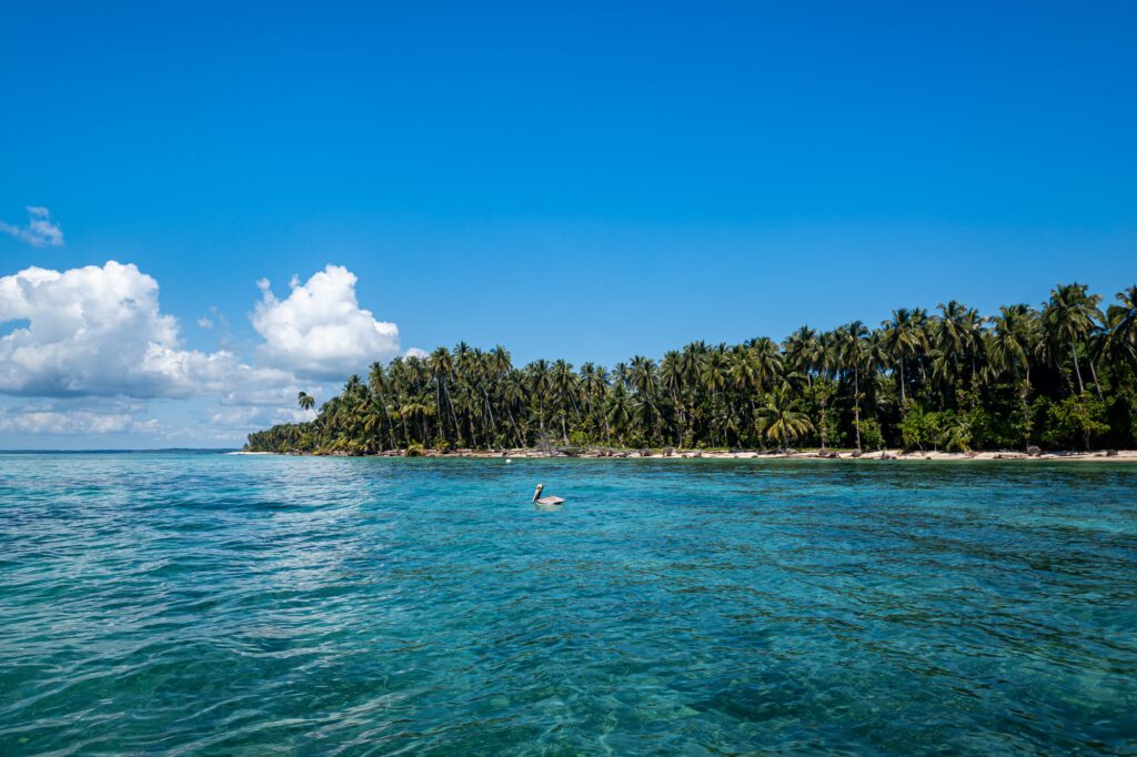 Bocas Del Toro 2024 1009