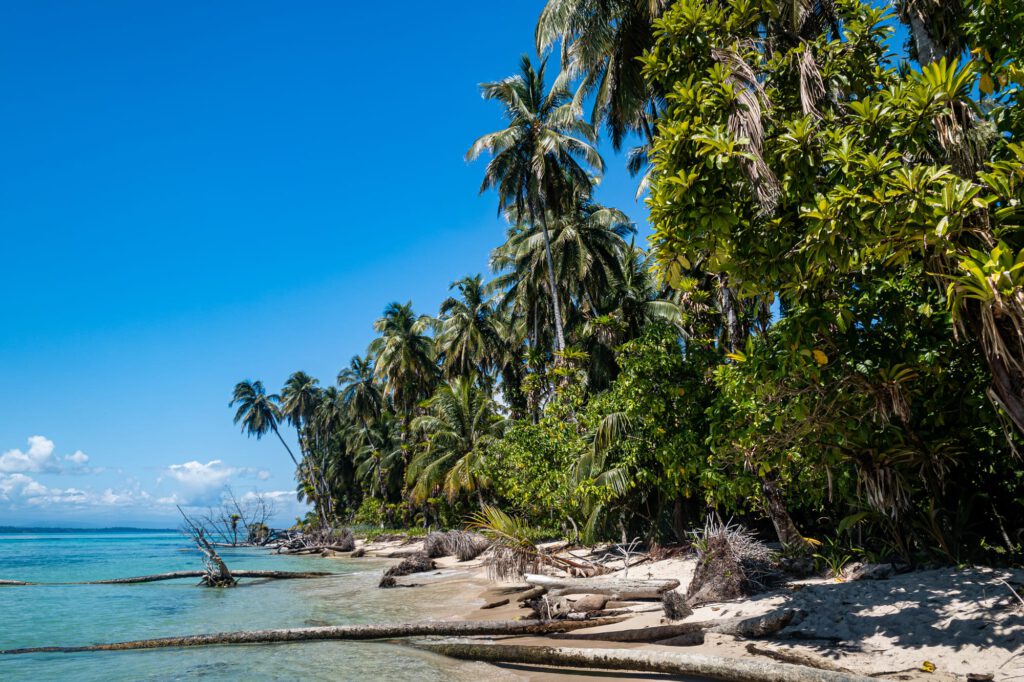 Bocas Del Toro 2024 1010