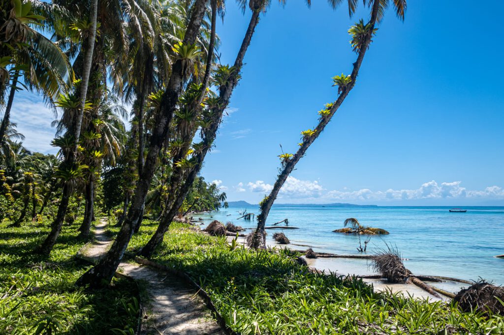 Bocas Del Toro 2024 1011