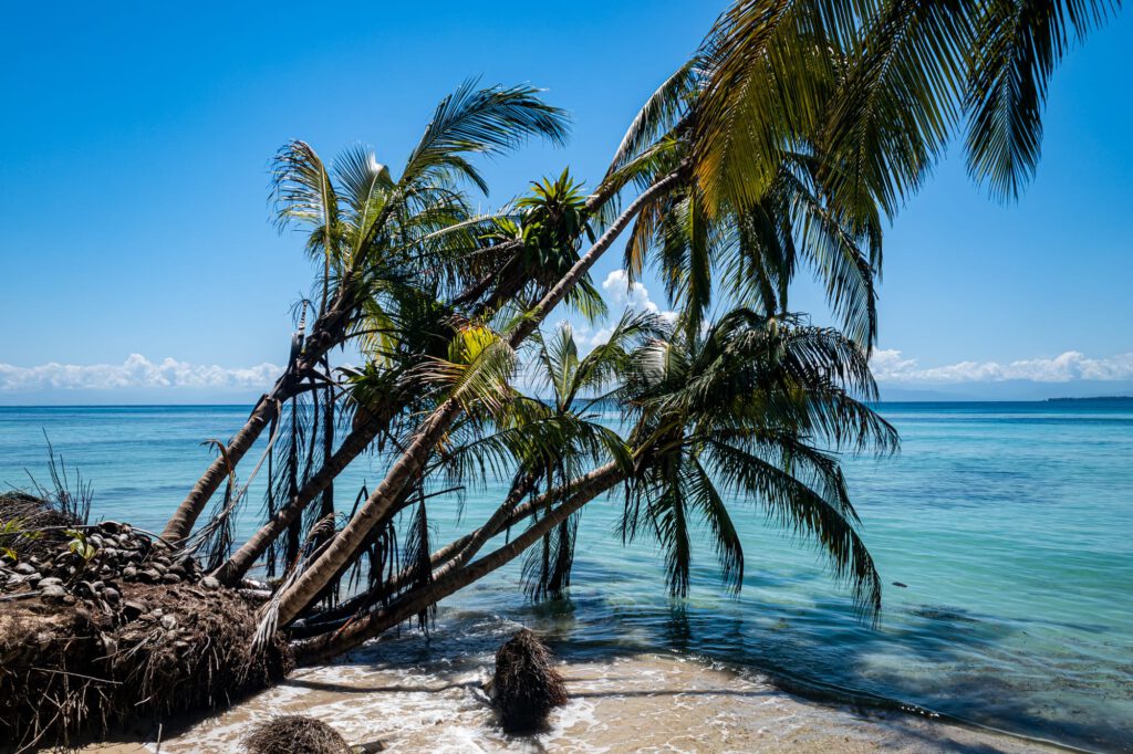 Bocas Del Toro 2024 1015