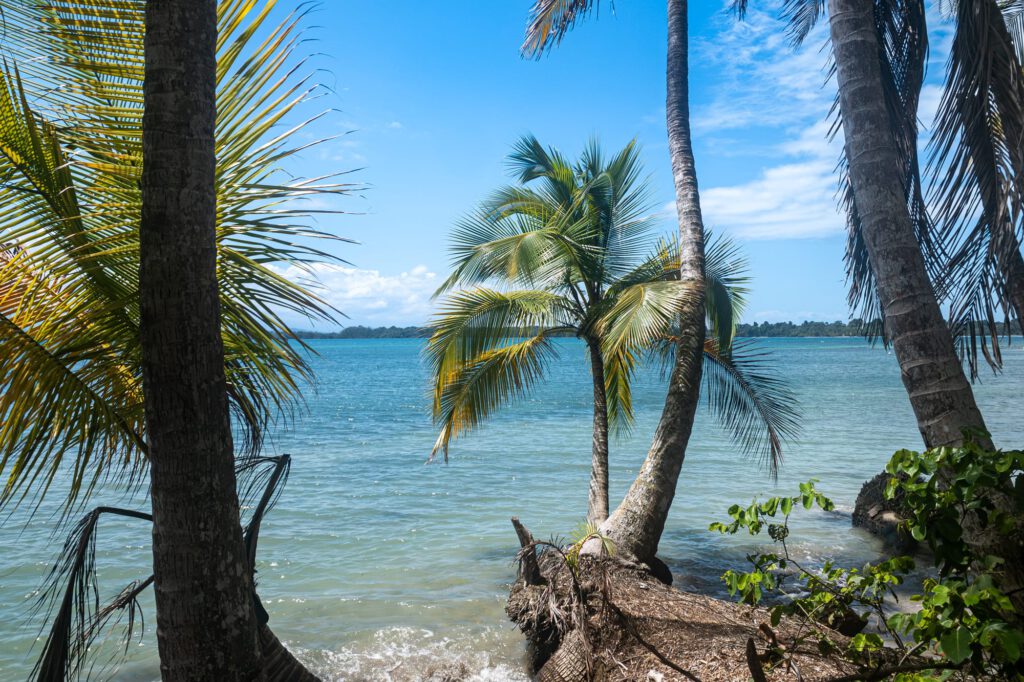 Bocas Del Toro 2024 1029