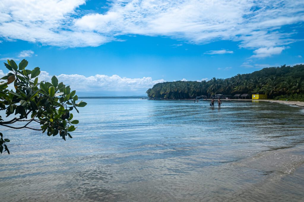 Bocas Del Toro 2024 1033