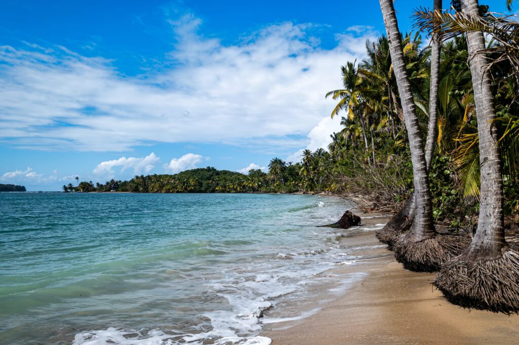 Bocas Del Toro 2024 1040