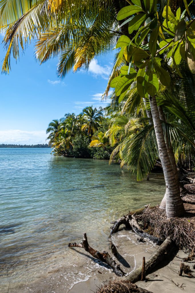 Bocas Del Toro 2024 1041