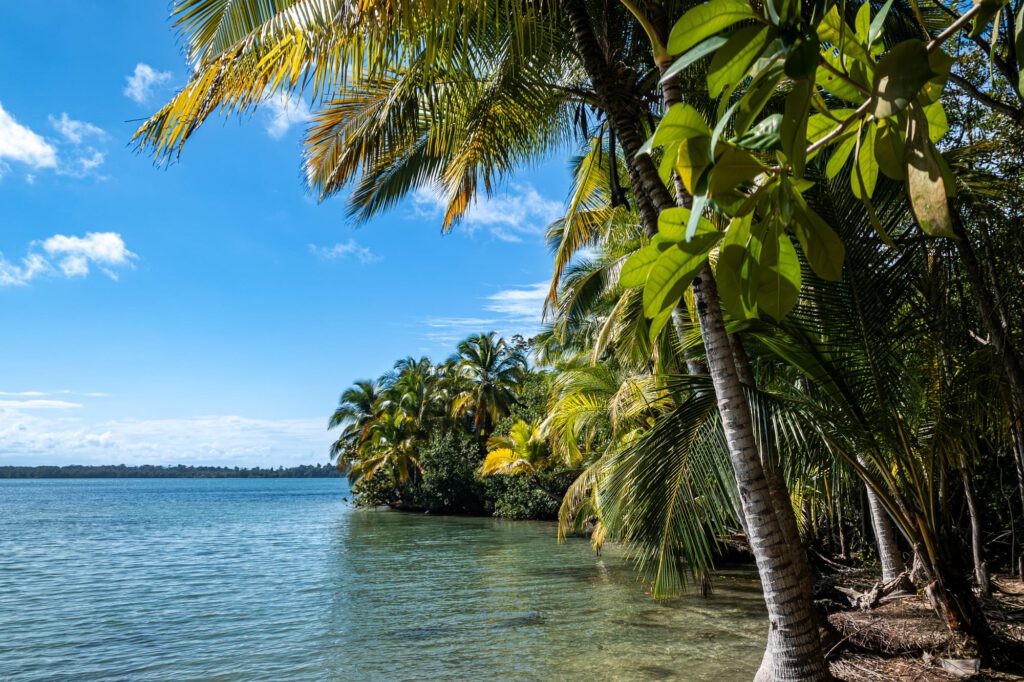 Bocas Del Toro 2024 1042