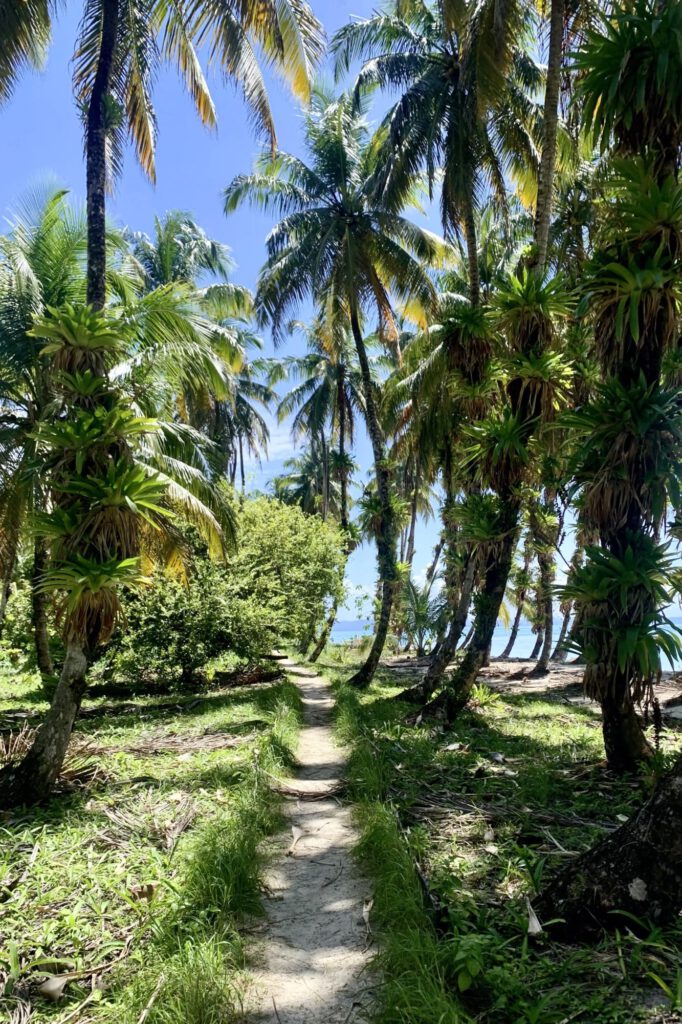 Bocas Del Toro 9