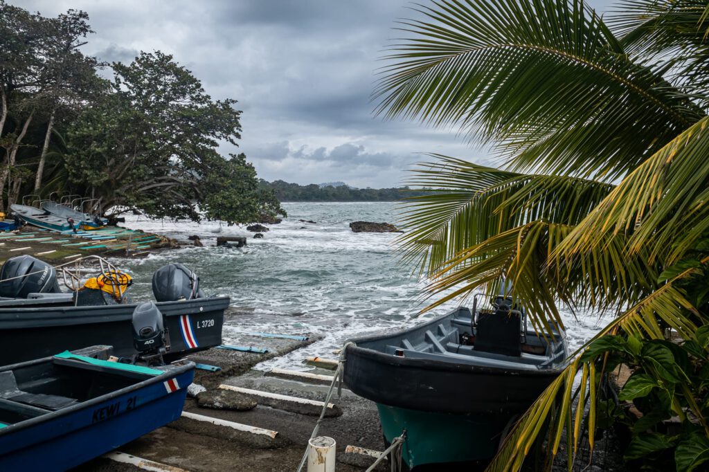 Cahuita 2024 1000