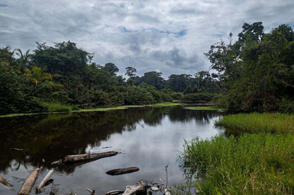 Cahuita 2024 1005