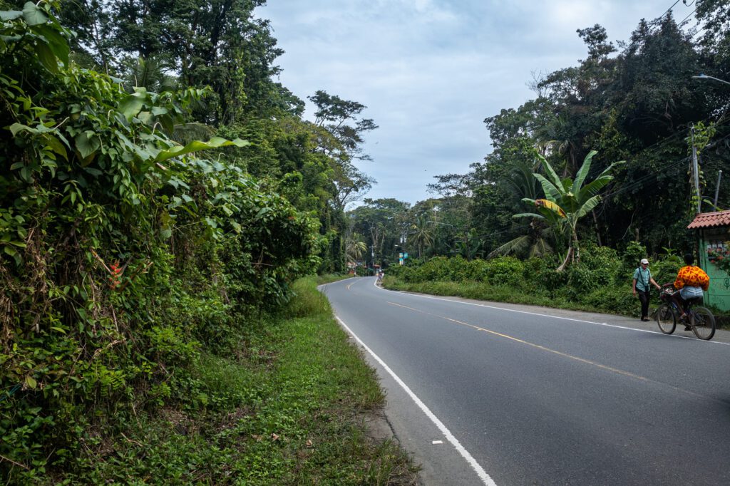 Puerto Viejo 2024 1013