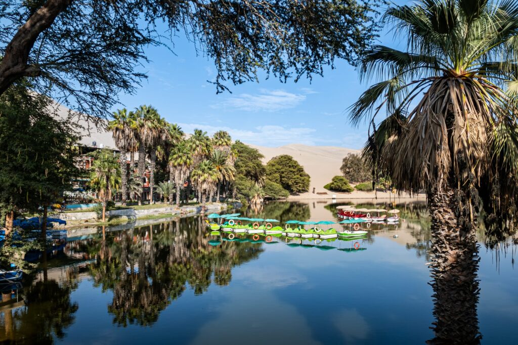 Huacachina 2024 1001
