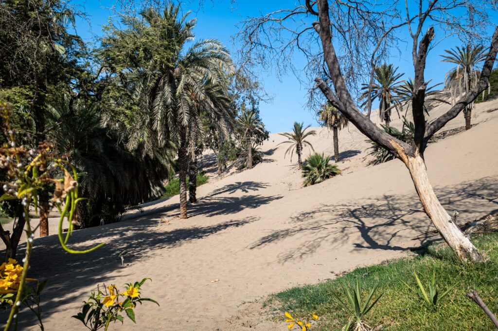 Huacachina 2024 1002