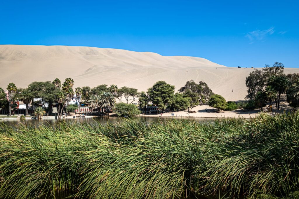 Huacachina 2024 1008